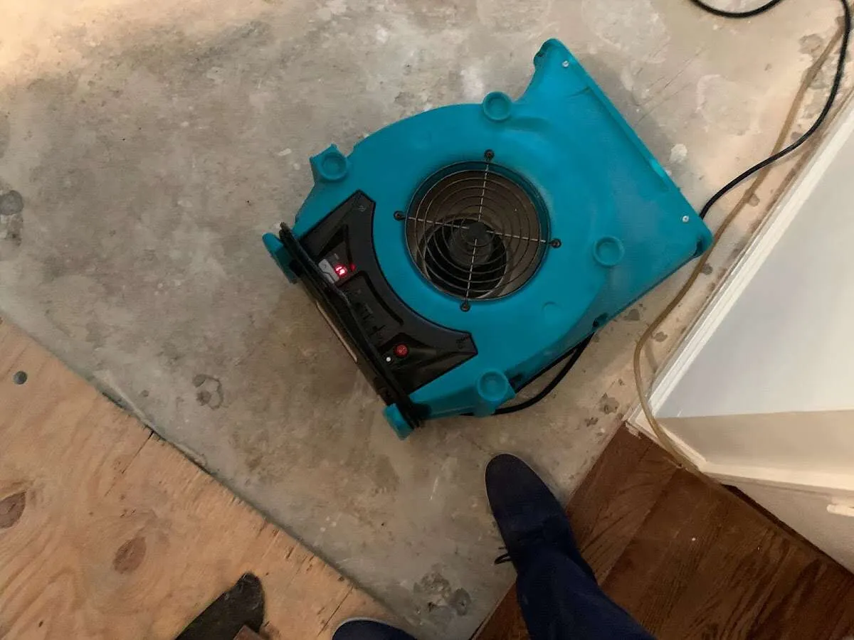 Air mover drying subfloor during Leak Detection & Repair in Corbin